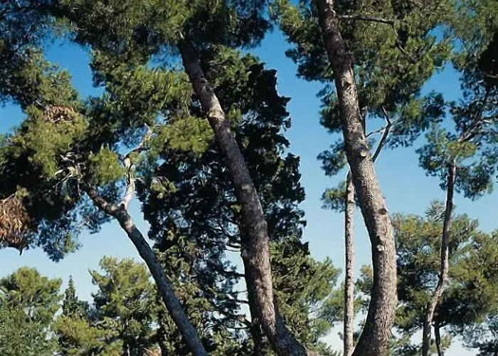 Szálloda Relais Matarazzo 3*