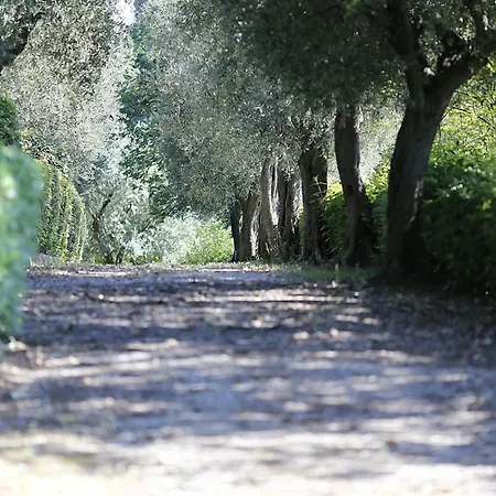 Hotel Relais Matarazzo