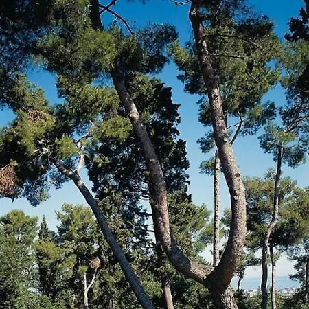 Hotel Relais Matarazzo 3*